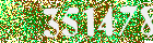 Sicherheits-Code