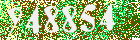 Sicherheits-Code