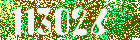 Sicherheits-Code
