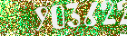 Sicherheits-Code