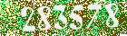 Sicherheits-Code