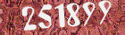 Sicherheits-Code