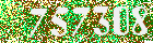 Sicherheits-Code