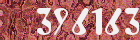 Sicherheits-Code