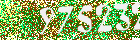 Sicherheits-Code