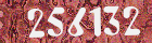 Sicherheits-Code