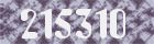 Sicherheits-Code