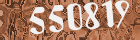 Sicherheits-Code