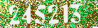 Sicherheits-Code