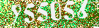 Sicherheits-Code