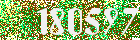 Sicherheits-Code