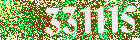 Sicherheits-Code