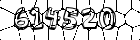 Sicherheits-Code