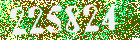 Sicherheits-Code