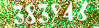 Sicherheits-Code