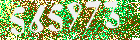 Sicherheits-Code